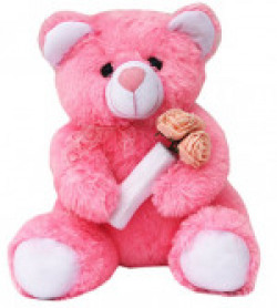 Amardeep and Co Pink Teddy with Roses 40cms  - ad1136