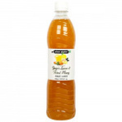 Urban Platter Ginger Lemon and Forest Honey Squash, 750ml [All Natural, Nutritious and Great for Digestion]