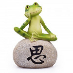 Wonderland Plastic Frog Sitting 1 on Stone Feng Shui for Luck, Wealth, Happiness, Garden Decor, Kids Room, Gift Item (Multicolour, WNG2571300)
