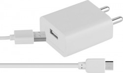 Billion 5V 2A ESU320 Mobile Charger(White, Cable Included)
