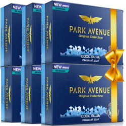Park Avenue Cool Blue Soap(750 g, Pack of 6)
