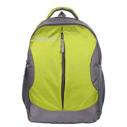 The Blue Pink Leonardo Polyester 22 Liters Green and Grey Laptop Backpack (LEO-1401)