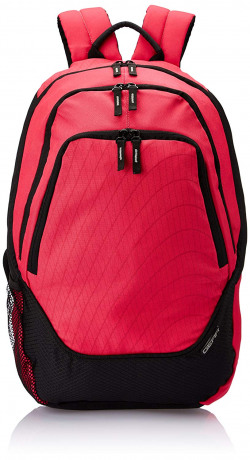 Gear 25 ltrs Pink and Black Casual Backpack (BKPCMPUS20701) 