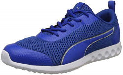 Puma Men's Royal Blue-Silver Running Shoes-11 UK/India (46 EU)(4060979128019)