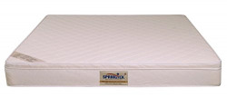 Springtek Eurotop Memory Top 8-inch King Size Mattress (White, 78x72x8)