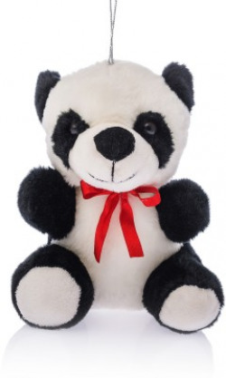 Miss & Chief Teddy Bear Min 50% Off Starting Rs.134