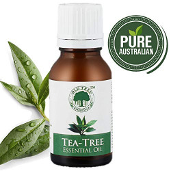Old Tree Tea Tree Oil, 15ml