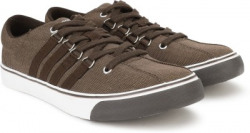 Provogue Canvas Shoes For Men(Brown)