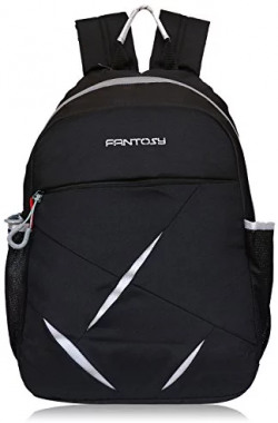  fantosy flyking Black and Grey Laptop Backpack (28 L) (BP-021)
