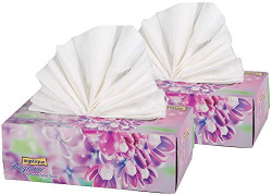Mystique Fragrance Plus Perfumed Tissue - 100 Pulls (Pack of 2)