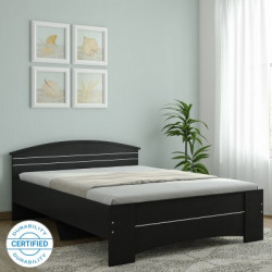 Spacewood Maxima Engineered Wood Queen Bed(Finish Color -  Melamine)