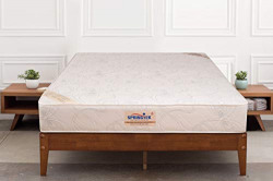 Springtek Ortho Pocket Queen Bed Pocket Spring and High Density Foam Mattress (White, 78x60x6)