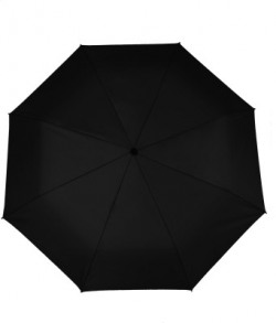 Flipkart SmartBuy 2 fold Auto Open Nylon Umbrella(Black)