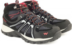 Wildcraft Darwin Running Shoes For Men(Black)