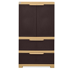 Nilkamal Freedom Cabinet with 2 Drawers (Weather Brown and Biscuit)