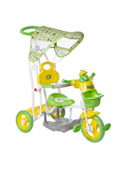 Mee Mee 2 In 1 Baby Canopy Tricycle With Rocker Function And Easy-To-Push Handle (Green)