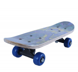NOVICZ Skating Board Skate Board