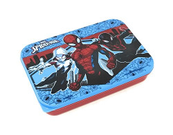 HM International Marvel Spider Man Plastic Lunch Box, 600 ml, Multicolour (HMLILB 00762-SPM)