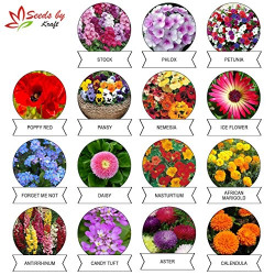 Kraft Seeds 15 Varieties of Flower Seeds Heirloom Seed for Your Garden Beautiful Bloom
