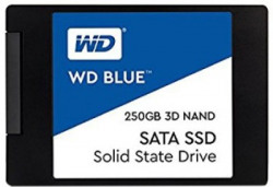 WD Blue 3D 250 GB Laptop Internal Solid State Drive (WDS250G2B0A)