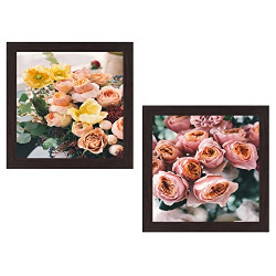 Wall Paintings (Set Of 2/3) From Rs.143