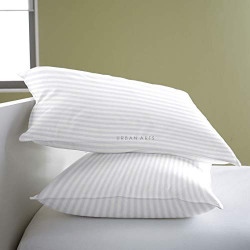 Urban Arts Premium Pillows - Pack of 10 Pcs, 16 x 24 inches, White