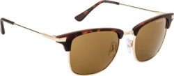 Farenheit Wayfarer Sunglasses(Brown)