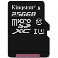 Professional Kingston 256GB Asus ZenFone Zoom MicroSDXC Card with Custom formatting and Standard SD Adapter! (Class 10, UHS-I)