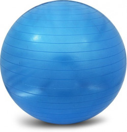 Proline Fitness Gym Ball