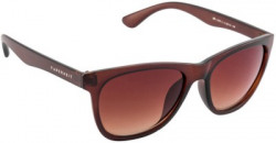 Farenheit Wayfarer Sunglasses(Brown)