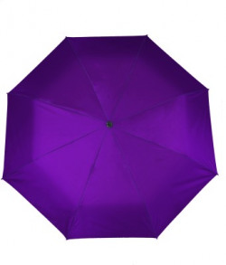 Flipkart SmartBuy 2 fold Auto Open Polyester Umbrella(Violet)