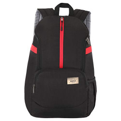 Skybags and american tourister bag sales