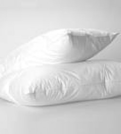 White Polyester 16 X 24 Inch Pillow Set Of 2 By Gilson