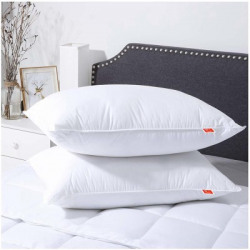 Kanushi Industries Microfibre Solid Sleeping Pillow Pack of 2(White)