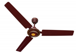 Inalsa Aeromax 75-Watt 48-inch Ceiling Fan (Brown)