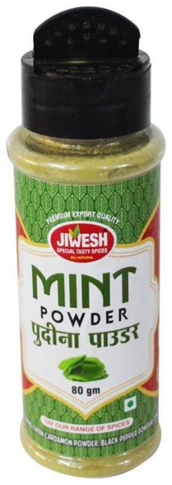 Jiwesh Special Tasty Spices Pudina, Mint Powder For Food And Snacks 80g