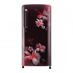 LG 190 L 4 Star Inverter Direct-Cool Single Door Refrigerator (GL-B201ASPY, Scarlet Plumeria)