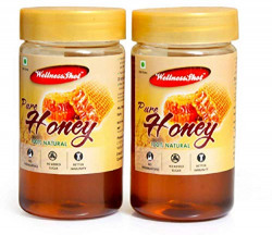 Wellness Shot 100% Natural Pure Honey 250gm, Pack of 2