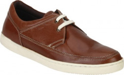 Red Tape RTE0263 Casuals For Men(Brown)