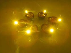 Tucasa DW-268 LED Diya (Pack of 6, Brown)