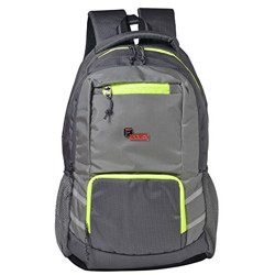 F Gear Intellect 30 Liters Laptop Backpack (Grey)