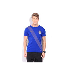 Puma Men's Regular Fit T-Shirt (75225401_Royal Blue M)