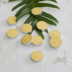 Home Centre Colour Connect Lemongrass T-Light Candles - Set of 10(Yellow)