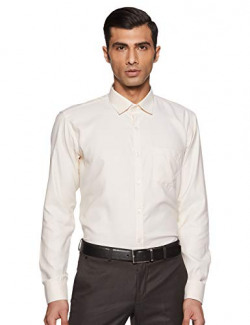 Hang & Wear Men's Plain Regular fit Formal Shirt (MSBS Fawn 38)