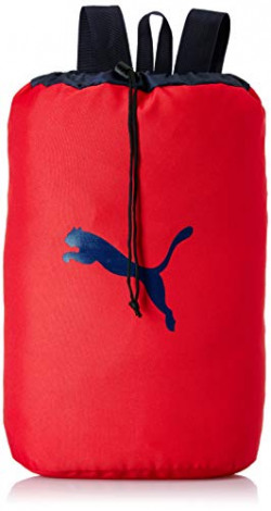 Puma 18 ltrs (42 Cms) backpack(7829504_red)