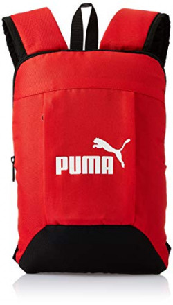 Puma 15 ltrs (35 Cms) backpack(7829904_red)