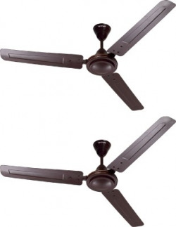 Hindware Aerochamp 1200 mm 3 Blade Ceiling Fan(Umber Brown, Pack of 2)