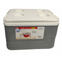 Princeware Ice boxes (14 Ltr Ice Box, Grey)