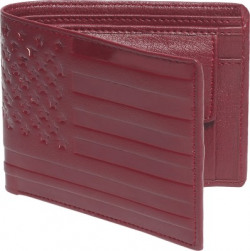 LUQXIS Men Maroon Artificial Leather Wallet(5 Card Slots)