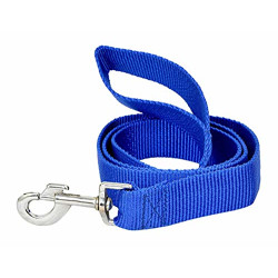 MS Petcare Fancy Nylon Dog Leash 0.5 Inch Extra Small, Blue Color